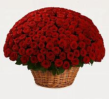 Премиум букет из: Розы в Рославле